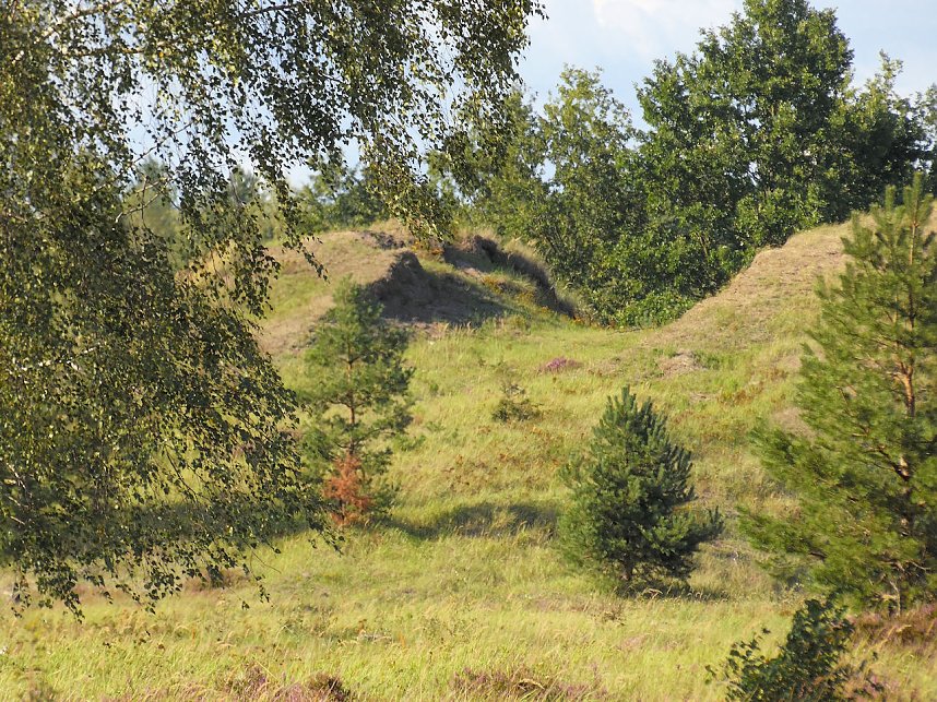 Peter Blei unterwegs in der Heide