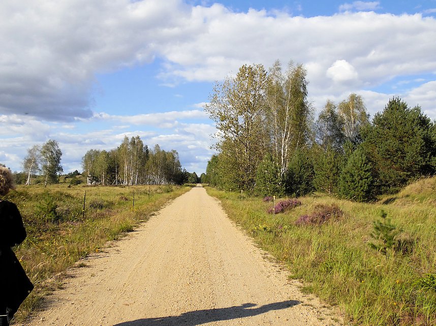 Peter Blei unterwegs in der Heide