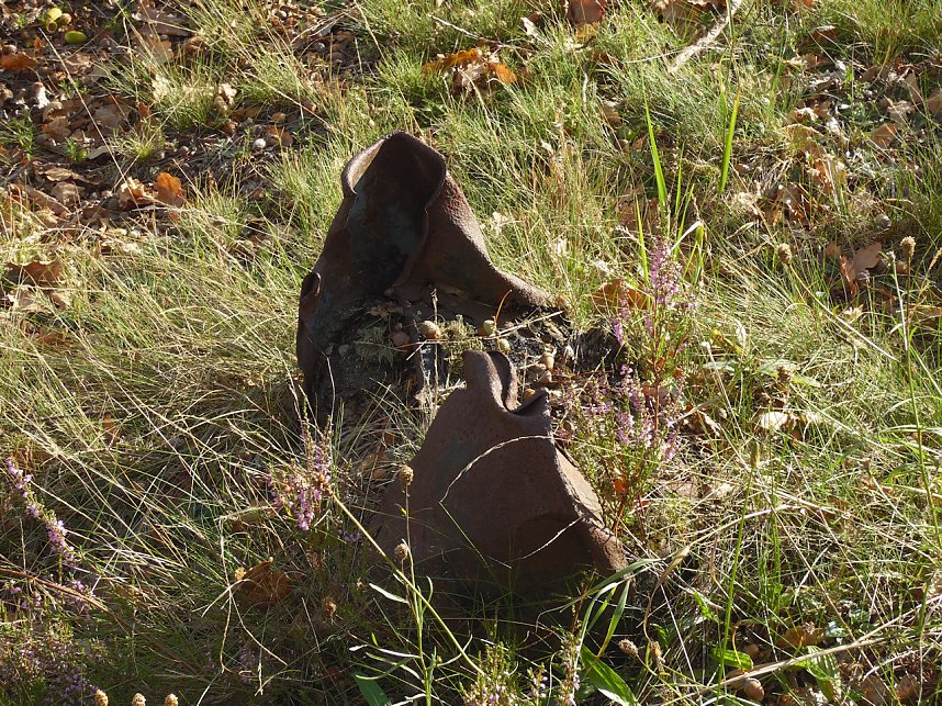 Peter Blei unterwegs in der Heide