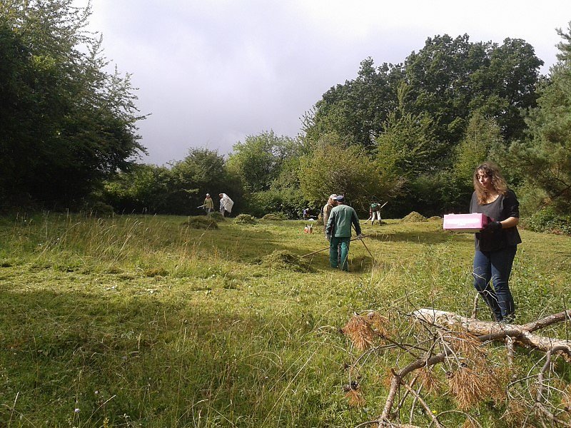 M&auml;hen gegen Gipsabbau - der Nordh&auml;user BUND in Aktion