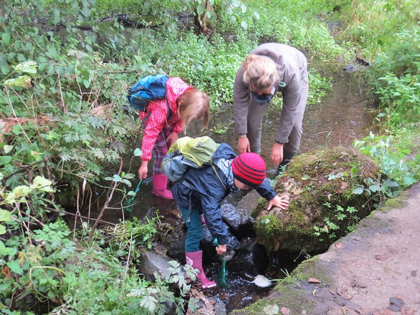 Wissenswertes rund ums Wasser erfuhren die Grundsch&uuml;ler Niedersachswerfens am M&uuml;hlberg