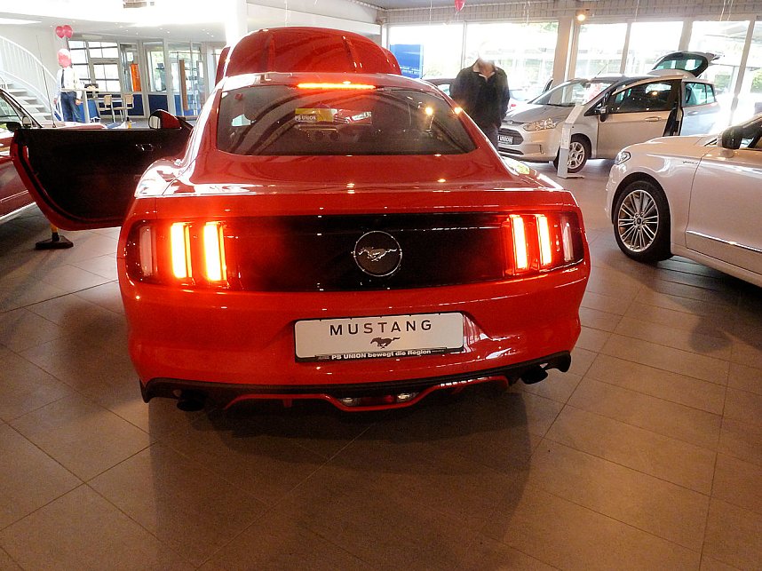 Der Mustang in Nordhausen