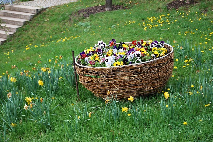 Bl&uuml;tenpracht auf dem Berg