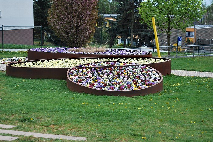 Bl&uuml;tenpracht auf dem Berg