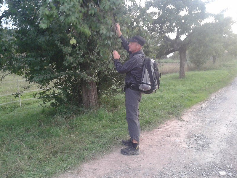 Von Nordhausen nach Halle