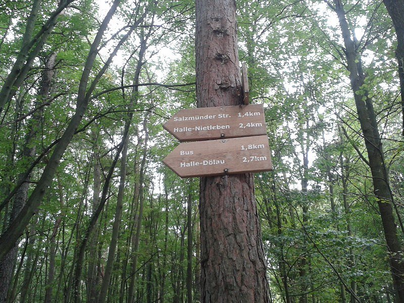 Von Nordhausen nach Halle