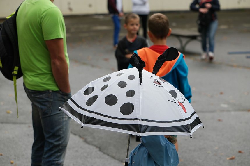 Herbstcross im Nordh&auml;user Gehege