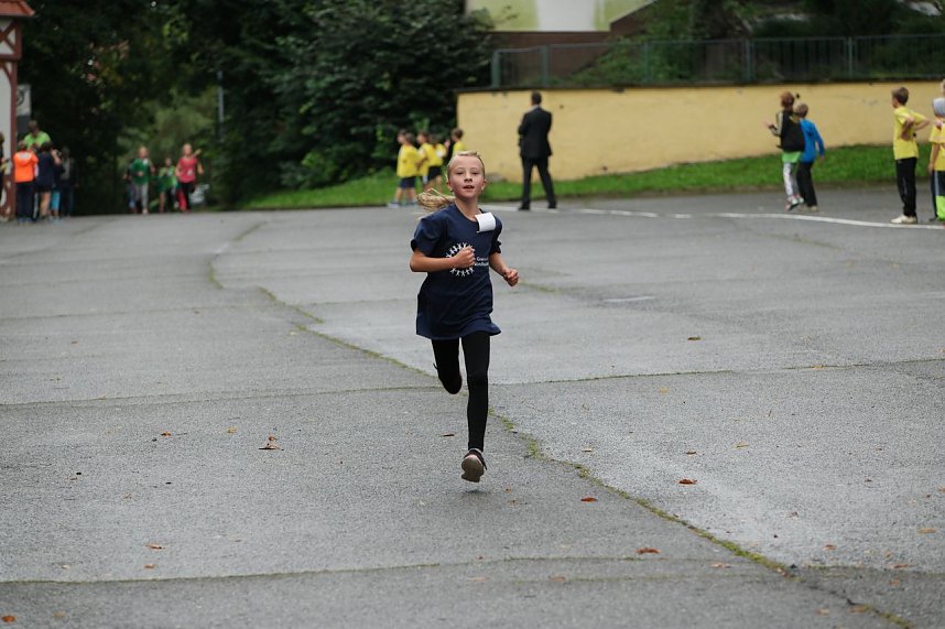 Herbstcross im Nordh&auml;user Gehege
