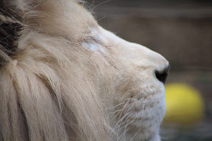Peter Blei unterwegs: Der Zoo in Aschersleben