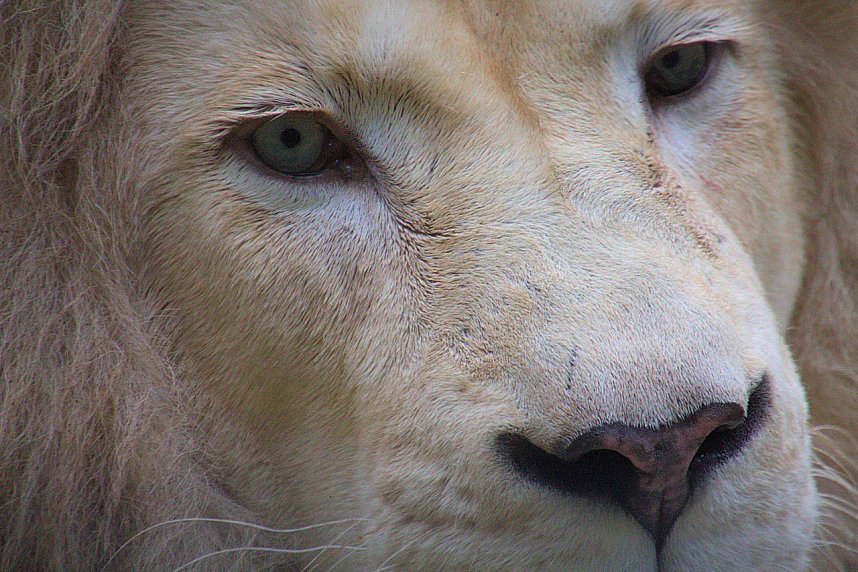 Peter Blei unterwegs: Der Zoo in Aschersleben