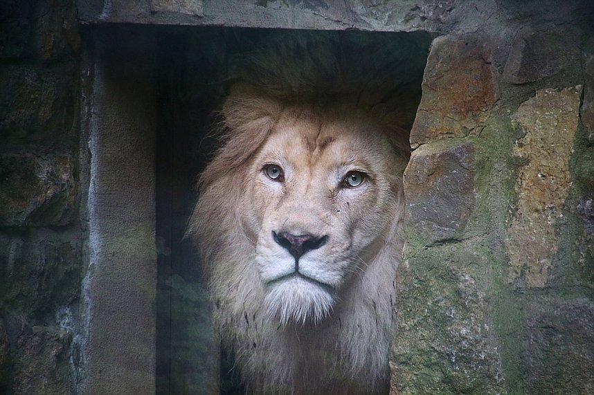 Peter Blei unterwegs: Der Zoo in Aschersleben
