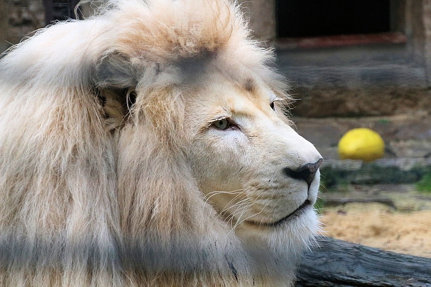 Peter Blei unterwegs: Der Zoo in Aschersleben