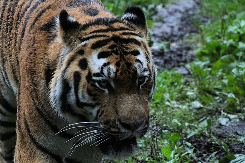 Peter Blei unterwegs: Der Zoo in Aschersleben