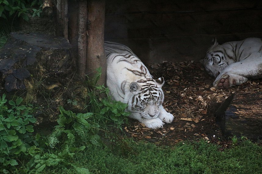 Peter Blei unterwegs: Der Zoo in Aschersleben