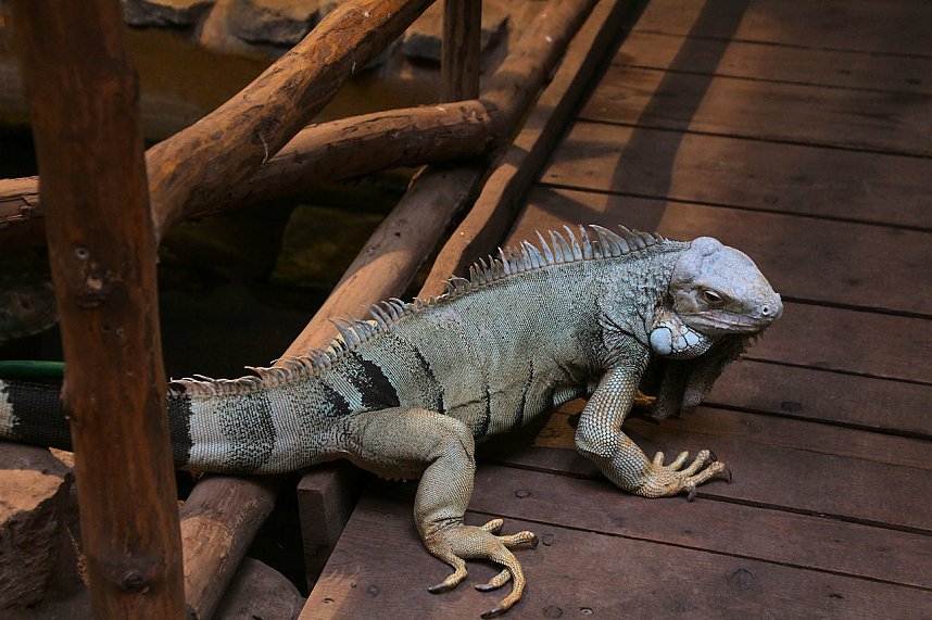 Peter Blei unterwegs: Der Zoo in Aschersleben