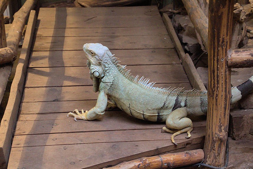 Peter Blei unterwegs: Der Zoo in Aschersleben