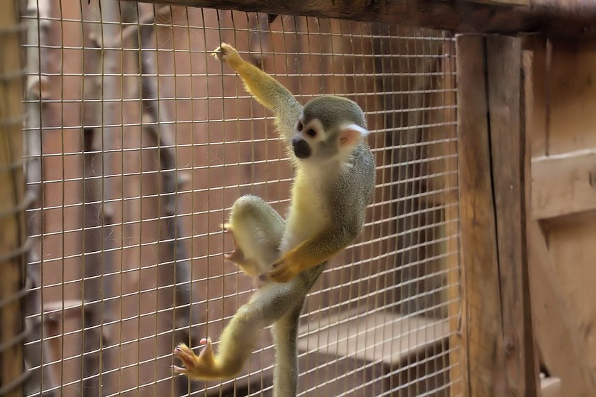 Peter Blei unterwegs: Der Zoo in Aschersleben