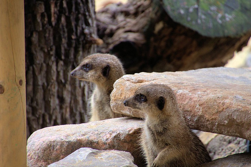 Peter Blei unterwegs: Der Zoo in Aschersleben