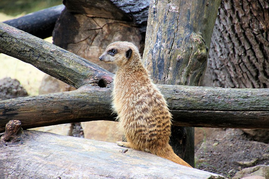 Peter Blei unterwegs: Der Zoo in Aschersleben