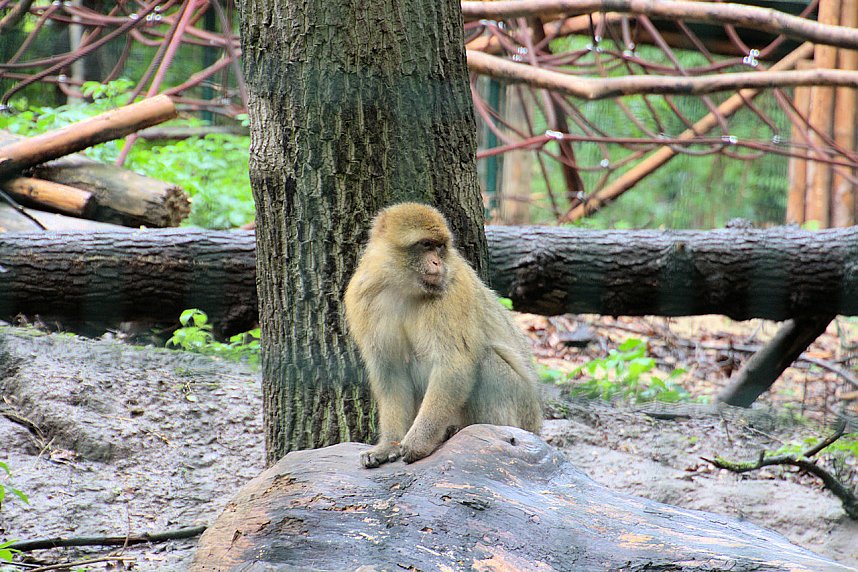 Peter Blei unterwegs: Der Zoo in Aschersleben
