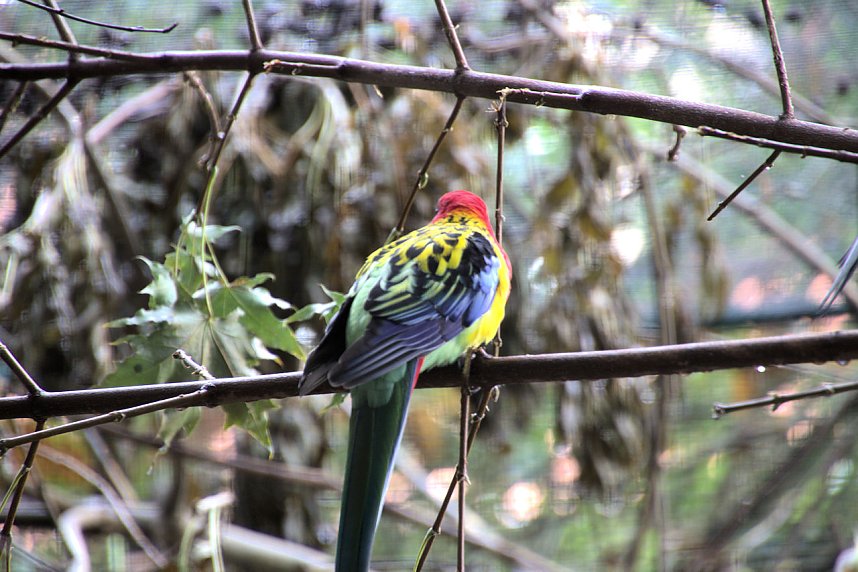 Peter Blei unterwegs: Der Zoo in Aschersleben