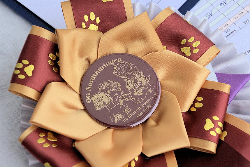 Hunde auf dem Possen