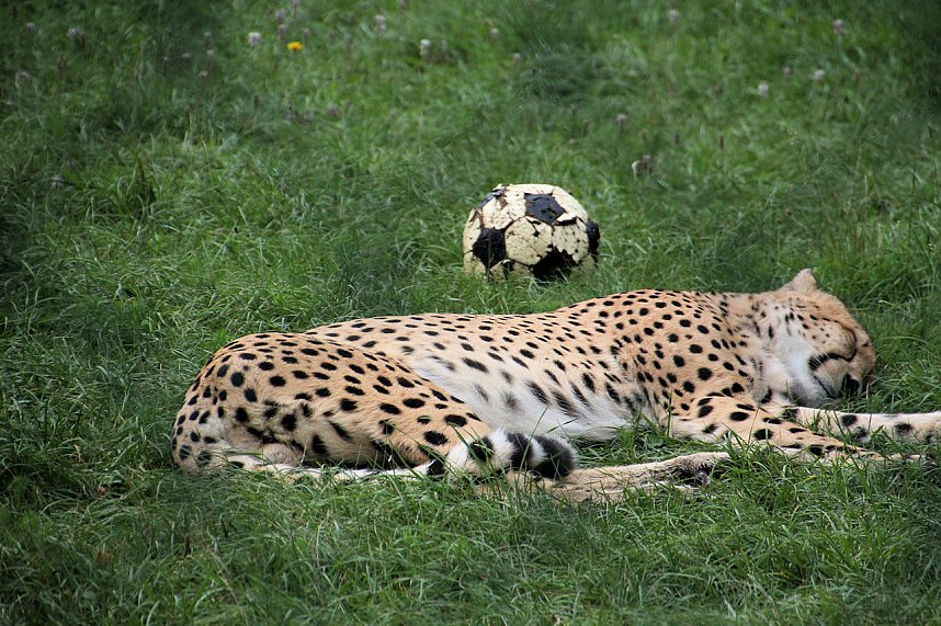 Peter Blei unterwegs auf dem Possen