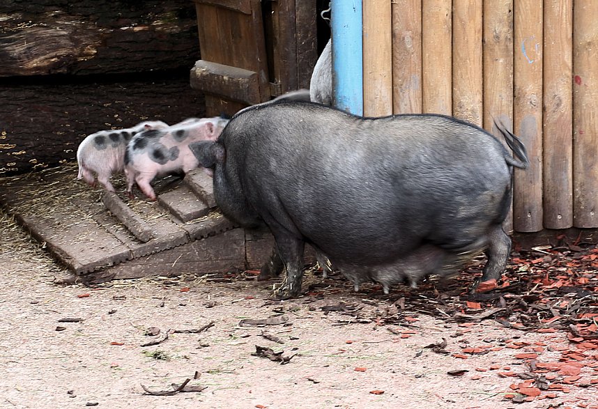 Peter Blei unterwegs auf dem Possen