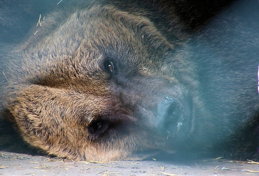 Peter Blei unterwegs auf dem Possen