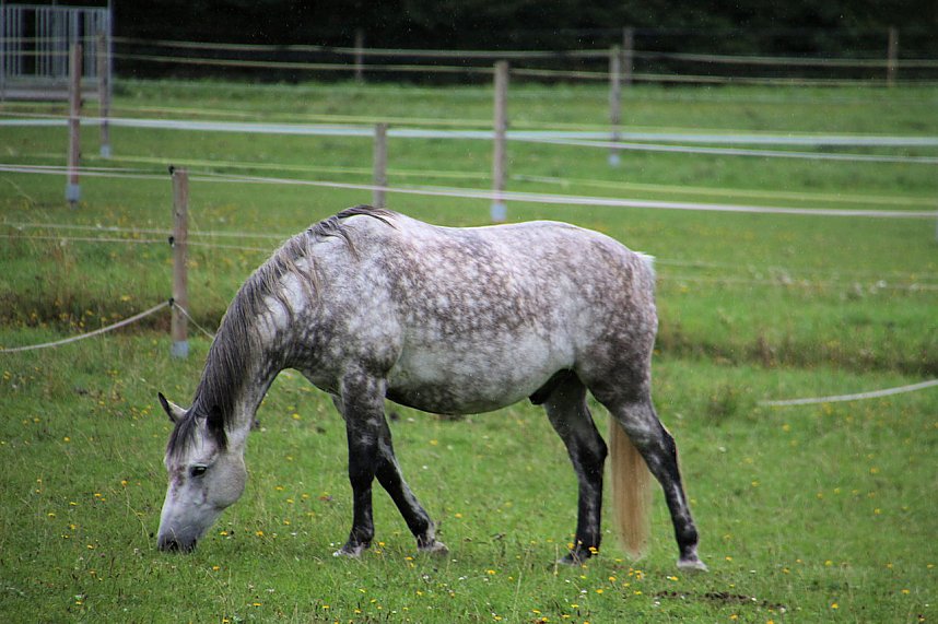 Peter Blei unterwegs auf dem Possen