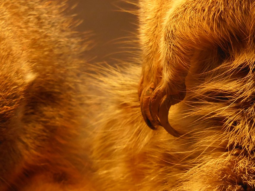 Peter Blei unterwegs auf dem Possen