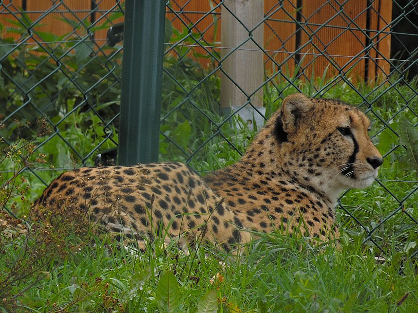 Peter Blei unterwegs auf dem Possen
