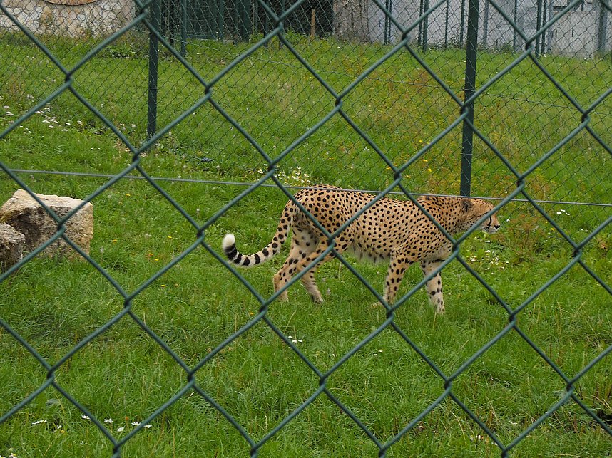 Peter Blei unterwegs auf dem Possen