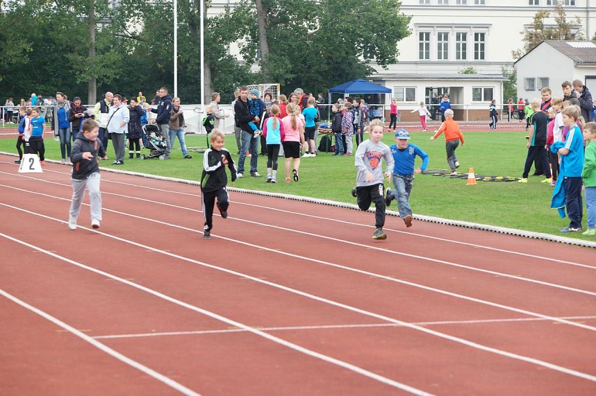 Junge Talente sichten