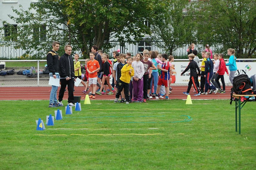 Junge Talente sichten