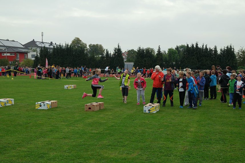 Junge Talente sichten