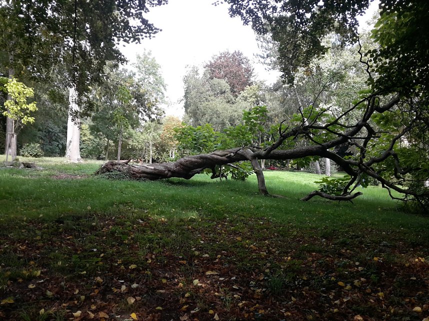 Pfad der Poesie im Park Hohenrode