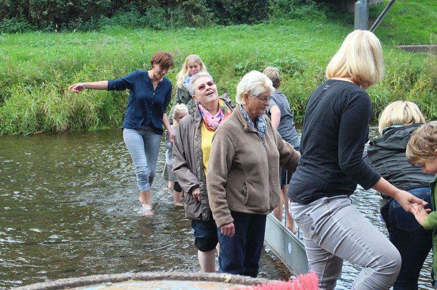 Abwassern an der Zorge