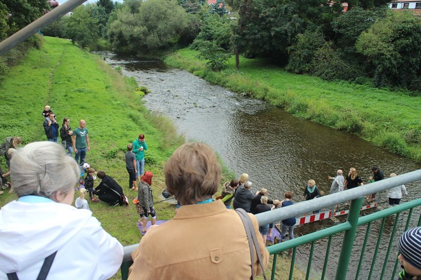 Abwassern an der Zorge