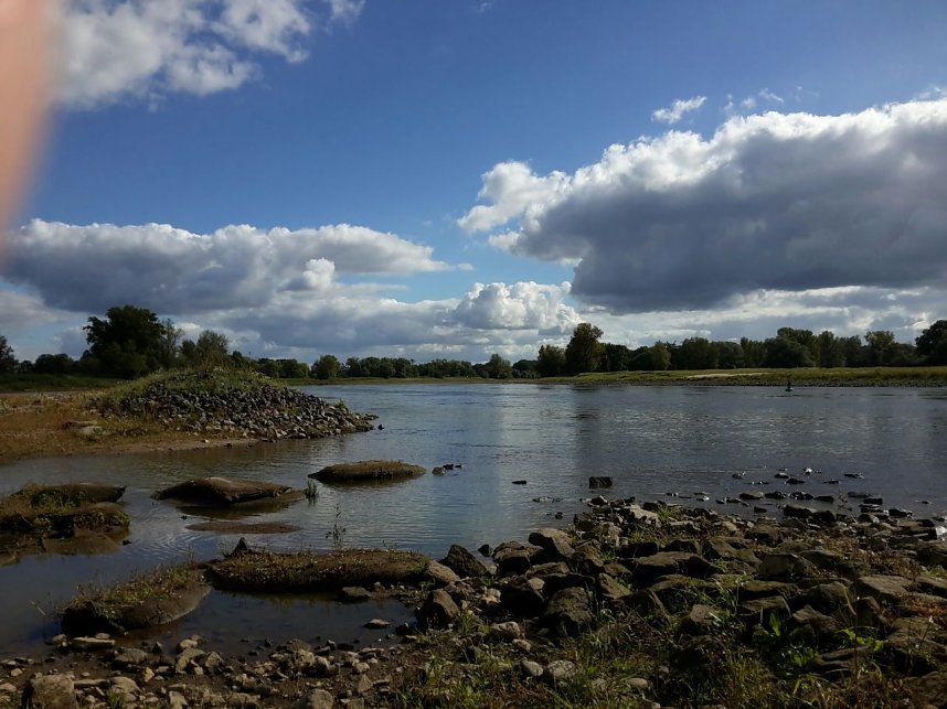 In der Elbe gefunden