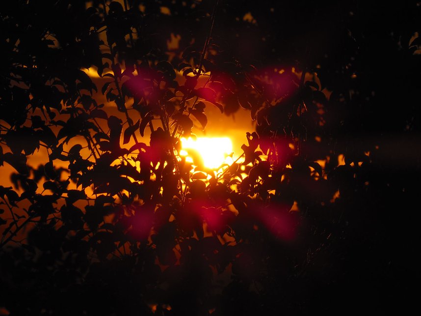 Natur- und andere Schauspiele