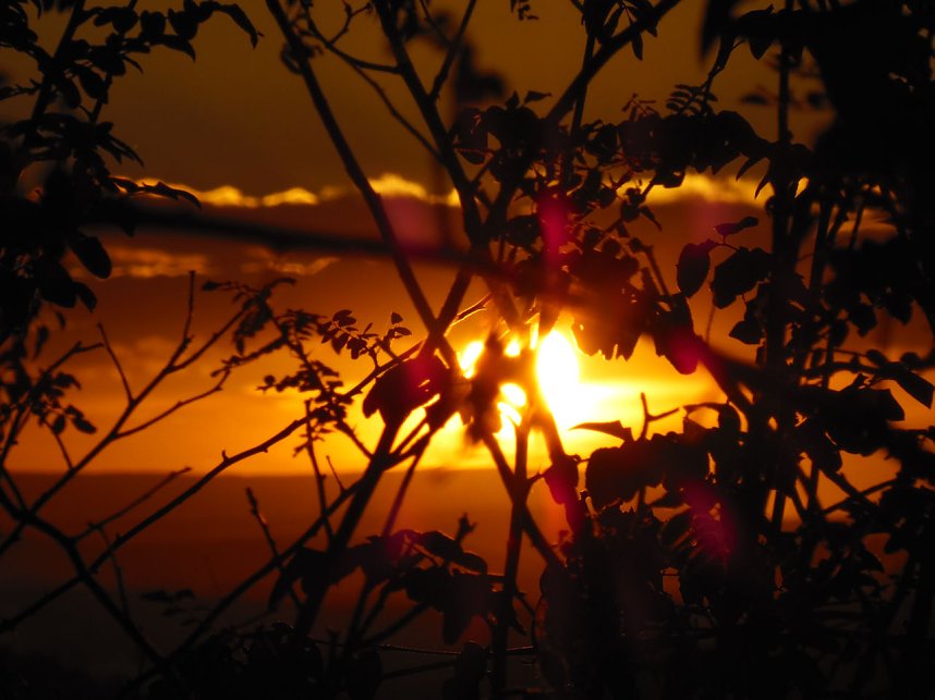 Natur- und andere Schauspiele