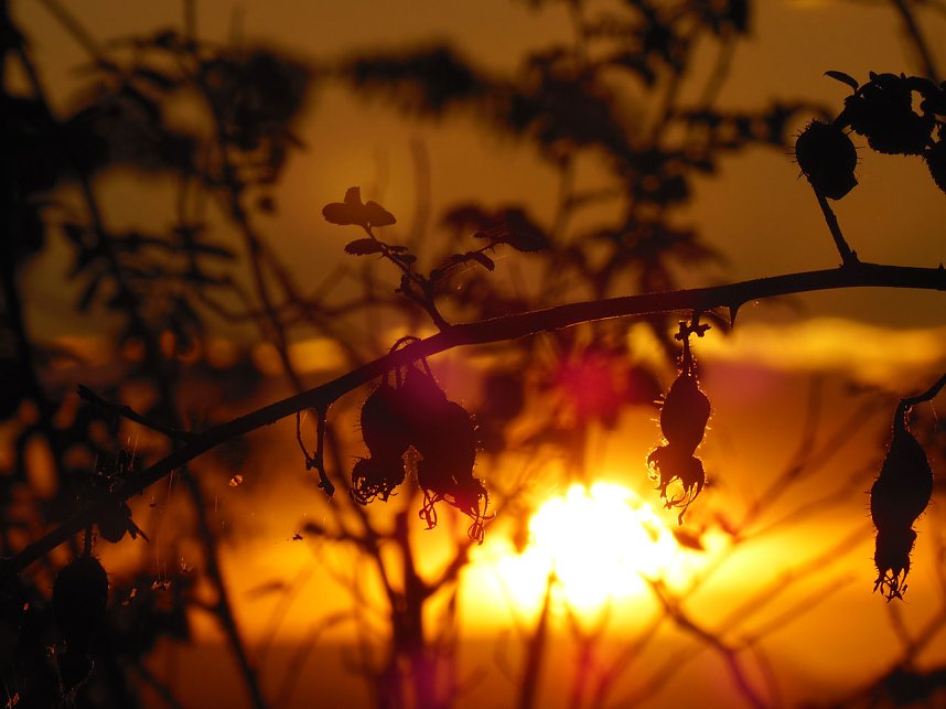 Natur- und andere Schauspiele