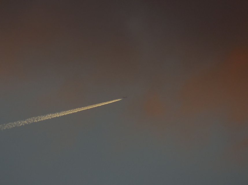 Natur- und andere Schauspiele