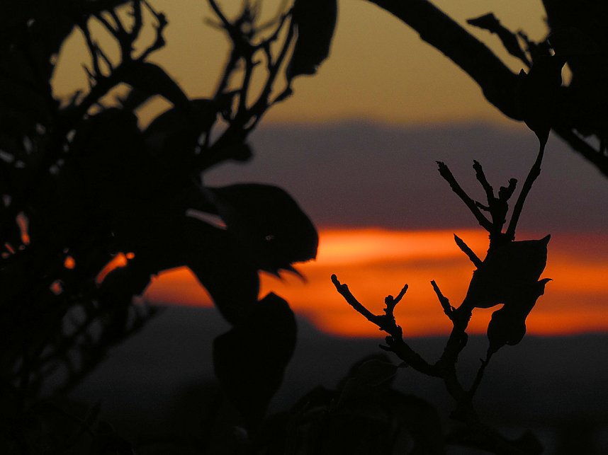 Natur- und andere Schauspiele