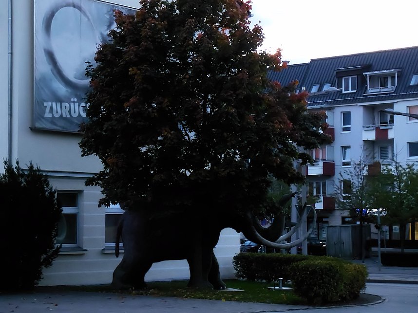 Natur- und andere Schauspiele