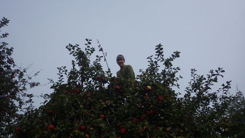 Apfelsaft-Aktion des KILA