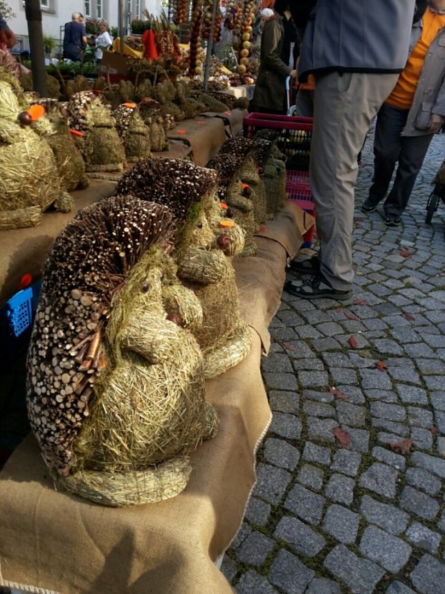 Menschen und K&uuml;rbisse