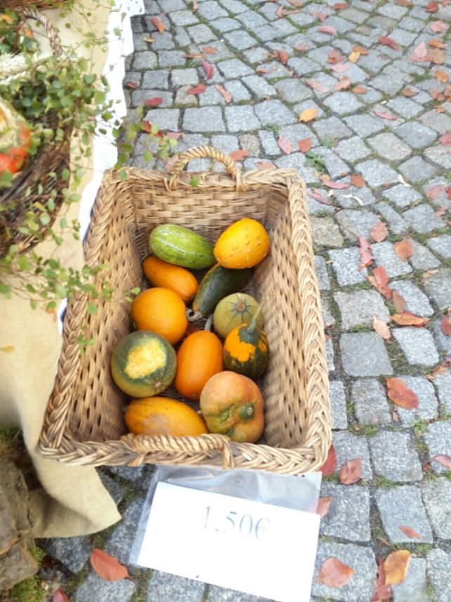Menschen und K&uuml;rbisse