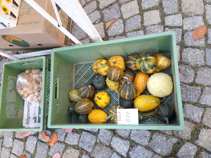 Menschen und K&uuml;rbisse